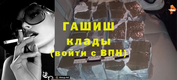 стаф Алексин