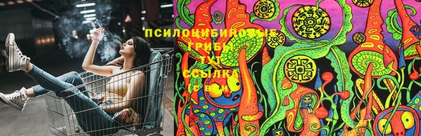 хмурый Алзамай